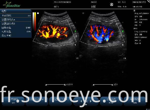 C10Pet Ultrasound Color Doppler